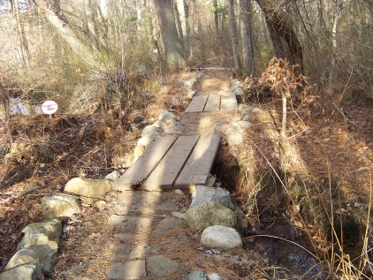 bridges and island on ingeno trail in Rockland