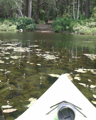 kayaking to a hiking trail destination