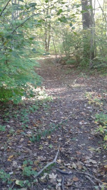 trail on the peninsula at rocky run