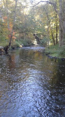 down river view at peninsula at rocky run