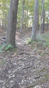 beginning climb at rocky run conservation