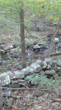 rocky run viewed from a side trail