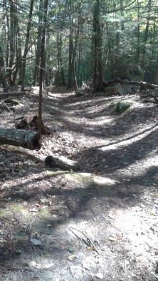 downhill on cart path at rocky run conservation area