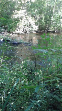 indian head river at rocky run conservation