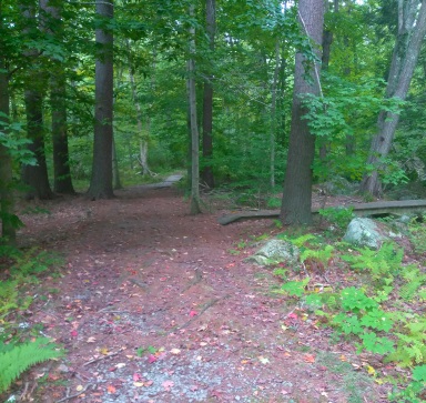 Two trails starting with boardwalks at marker S19 on Union St at Wompatuck State Park.