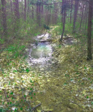 Large pools of water on the trail