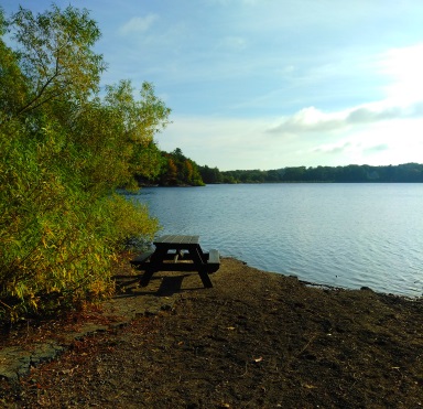 Picnic table at the boat launch into Aaron Reservoir at Wompatuck State Park.
