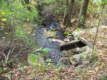 bridge over Beaver Brook on  Around Cleveland Pond Trail