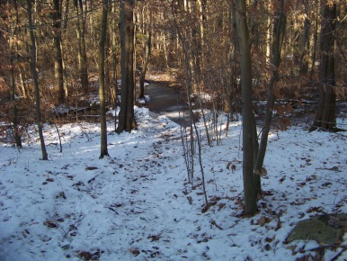 frozen trail in ames nowell