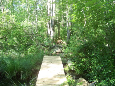new bridge along stone wall