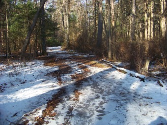 icy trail in winter in ames nowell