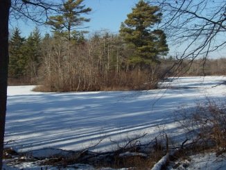view of island in cleveland pond in winter