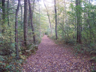 wide trail in fall at ames nowell state park