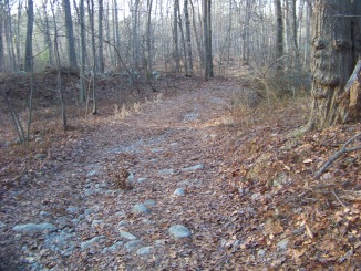rough walk at ames nowell state park