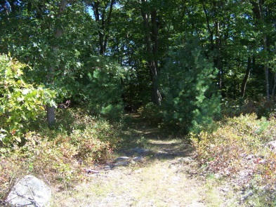 second portion of around cleveland pond trail