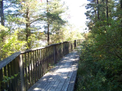 western side boardwalk in Ames Nowell State Park