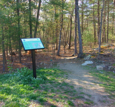 Bradford Torrey Sanctuary's Tall Oak entrance also known as Arbor Hill Entrance. Arbor Hill trailhead