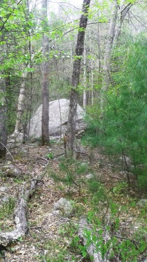 boulder at the edge of Indian Head River