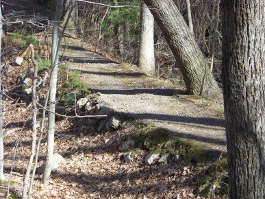 raised cart path to brook in bradford torrey bird sanctuary