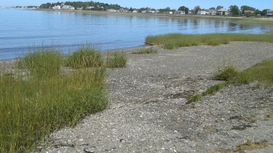 Little beach on Nantasket Rd.