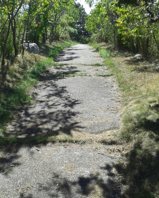 The hiking trail circles the other side of Bumpkin Island.