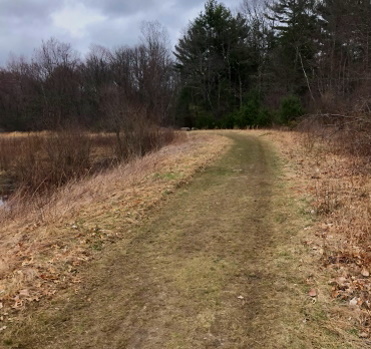 One of many dirt roads in Burrage Wildlife Area, this one leading to Stump Brook Sanctuary. Sand and grass road to Stump Brook.