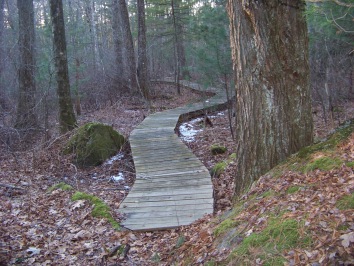 beginning of boardwalk at canoe club trail in Pembroke