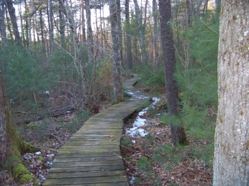 boardwalk on canoe club trail