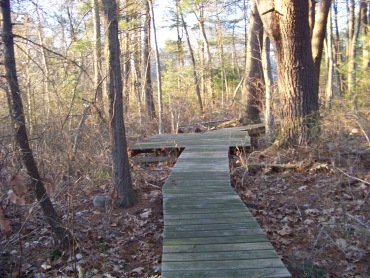 platform on canoe club trail