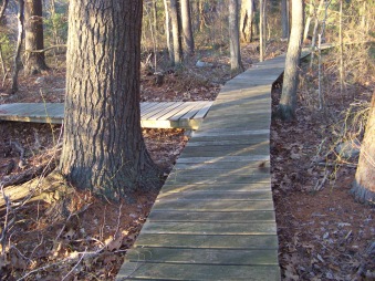 trail splits at canoe club trail