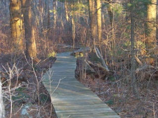 winding canoe club trail leading  to the finish