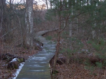 nearing the end of the boardwalk on canoe club preserve trail