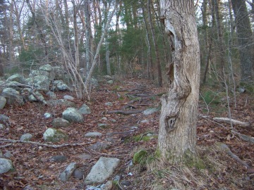 difficult to navigate trail  on canoe club trail