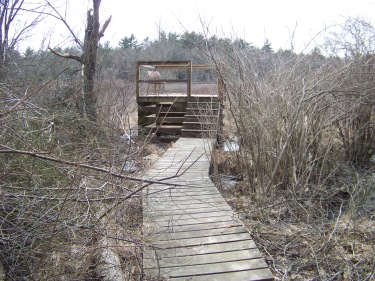 viewing platform at colby phillips viewing platform at colby phillips