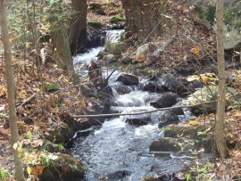 cranberry brook in braintree