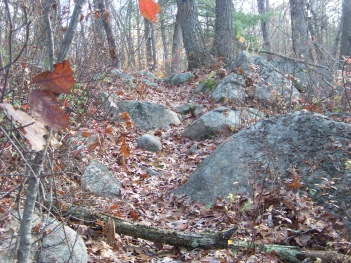 rocky blue dot trail at cranberry pond rocky blue dot trail at cranberry pond