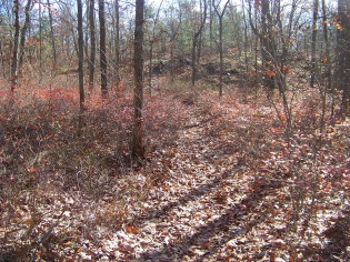 short cut paths other side at cranberry pond short cut paths other side at cranberry pond