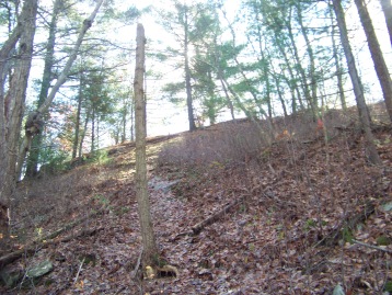 ridge above blue dot trail at cranberry pond ridge above blue dot trail at cranberry pond