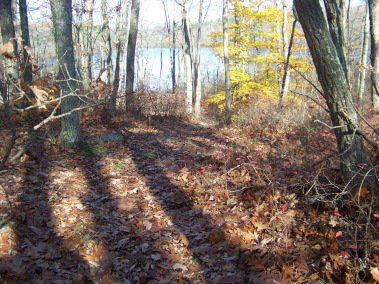cranberry pond from the blue dot trail cranberry pond from the blue dot trail