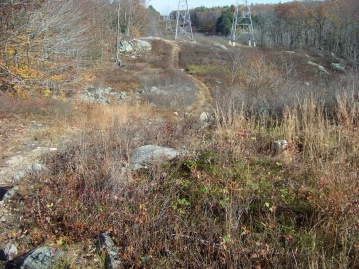 blue dot trail along a power line at cranberry pond