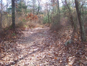 trail at cranberry pond trail at cranberry pond