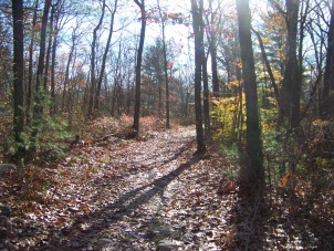 cart path in cranberry pond cart path in cranberry pond