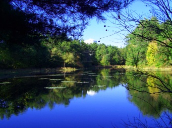 Howard Brook Reservoir at Cranberry Watershed Preserve in Kingston. Howard Brook Reservoir at Cranberry Watershed Preserve in Kingston.