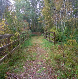 Hiking trail natural bridge. Hiking trail natural bridge.