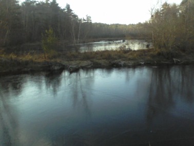 crowell-conservation in Duxbury