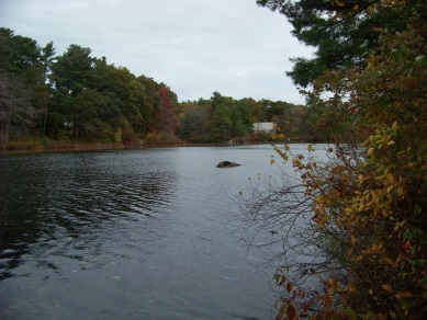 view of lower end of cushing pond