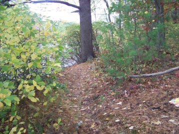 hiking trail near shoreline of cushing pond in cushing woods