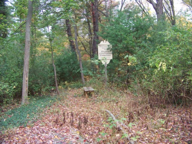 set back mildred cushing woods conservation area