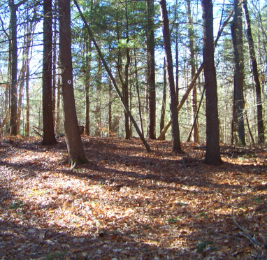Red arrow side trail loop