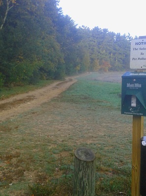 Dogs Welcome! At the Duxbury Bogs.